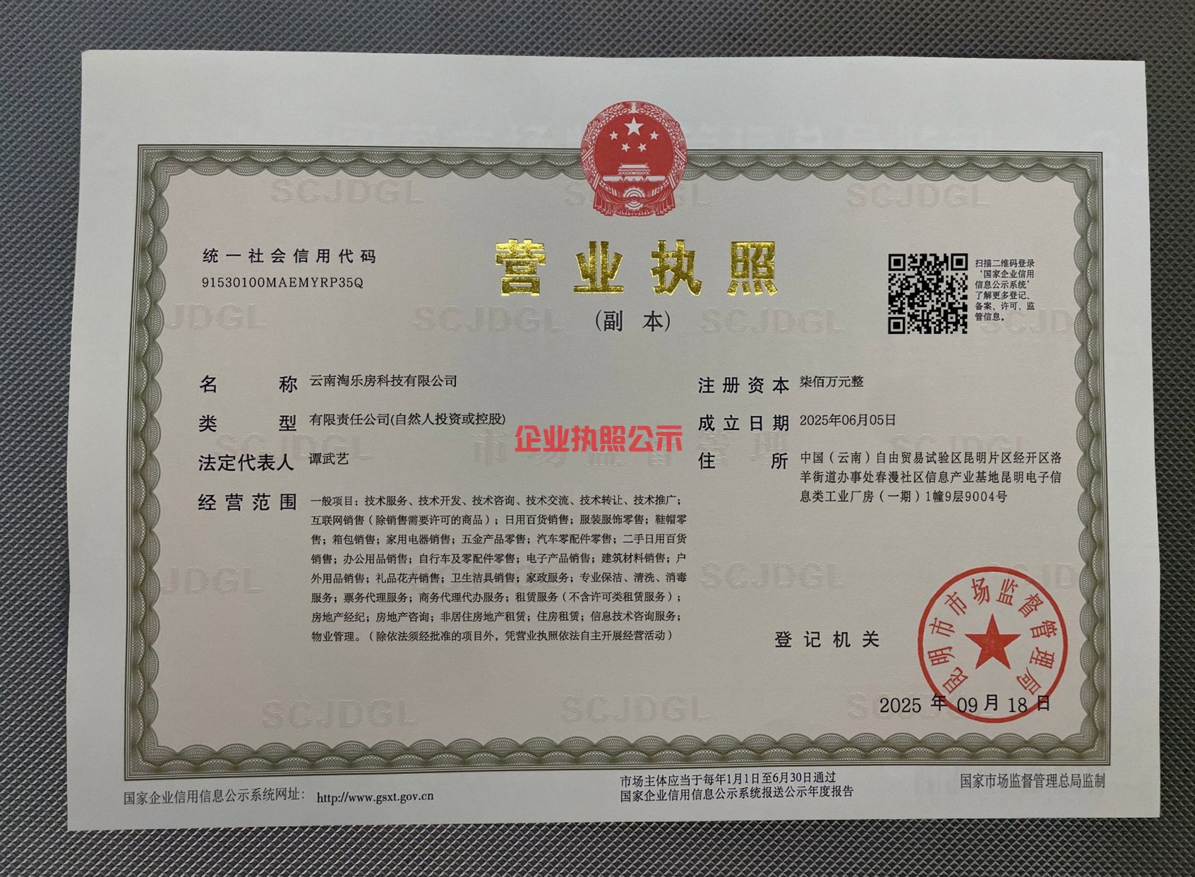 企业执照